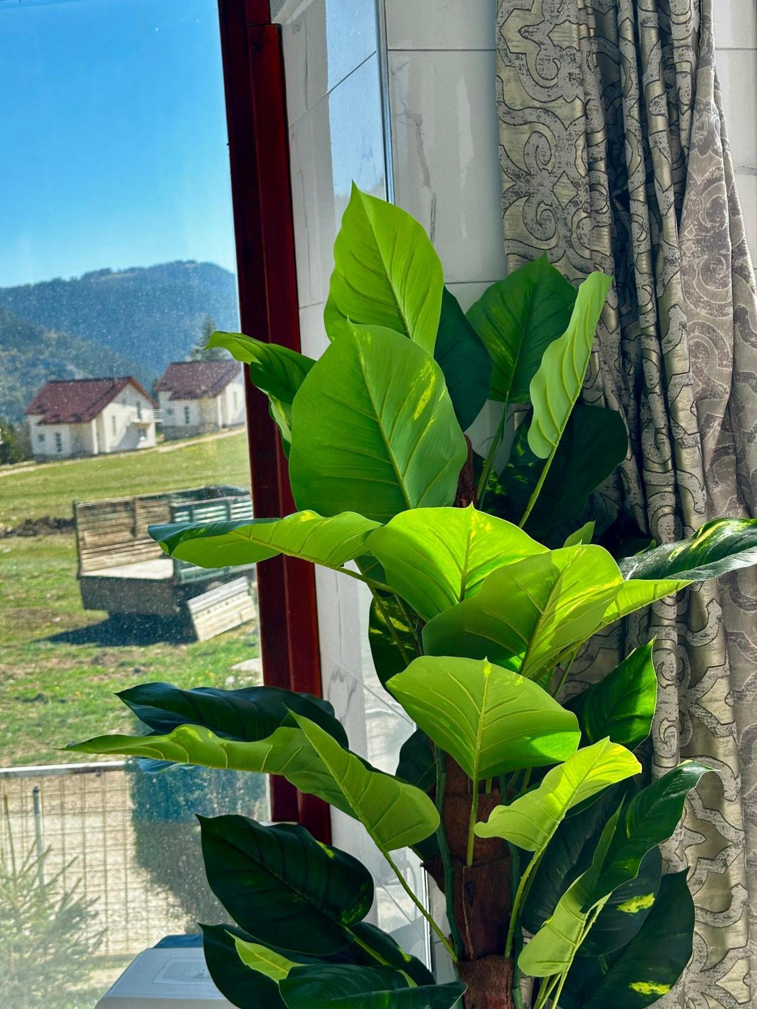 Vila Vlasic Odmor Wellness & Spa Kültér fotó